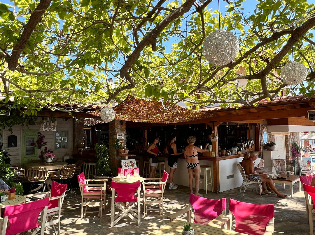 Mojo Bar by the Sea-Skiathos Town必去景点