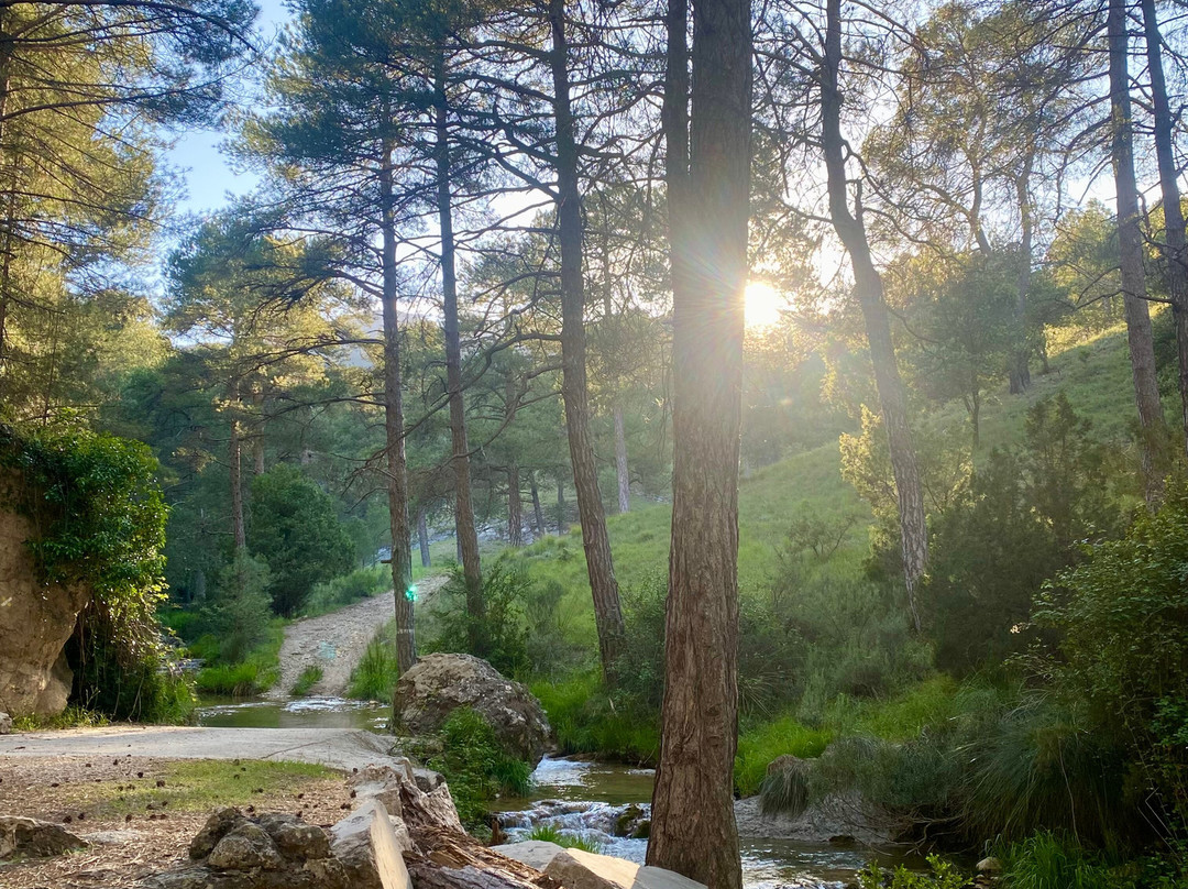 Cascada Guazalamanco-Pozo Alcon必去景点