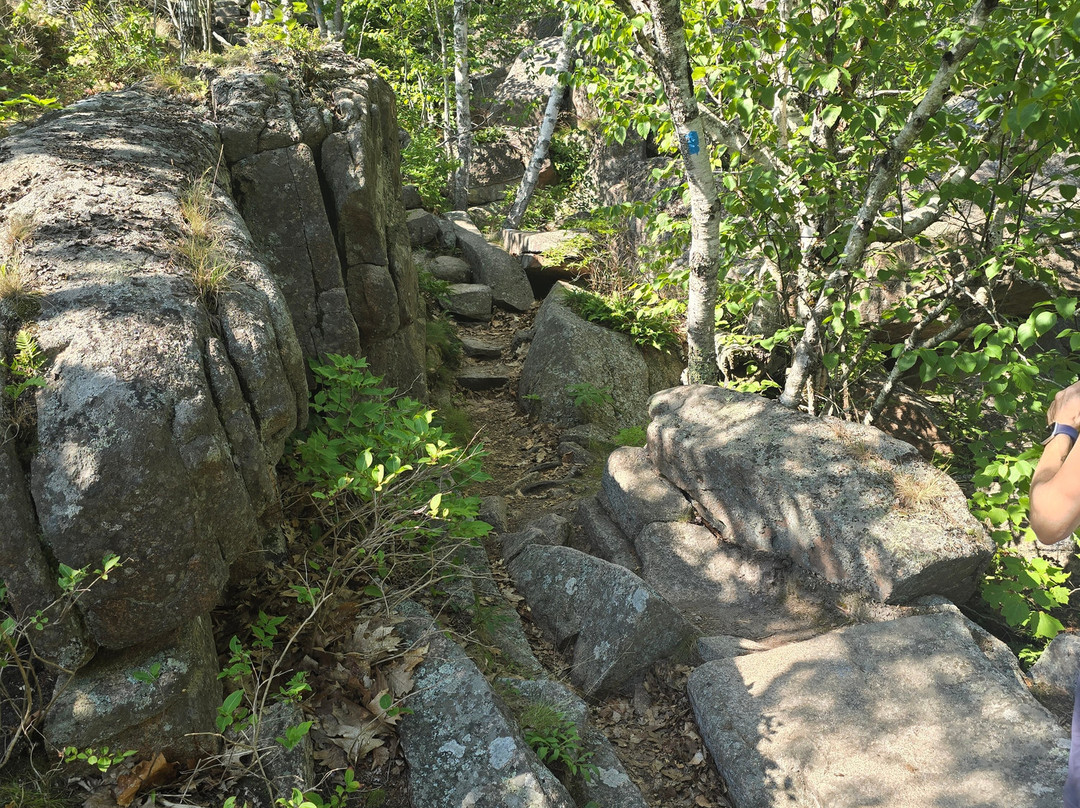 Precipice Trail-阿卡迪亚国家公园必去景点