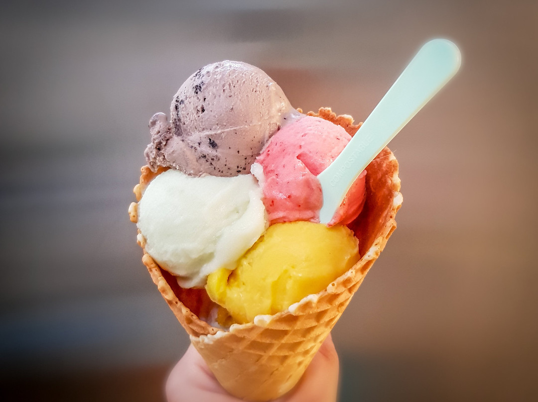 Don Pavili | Gelado Artesanal