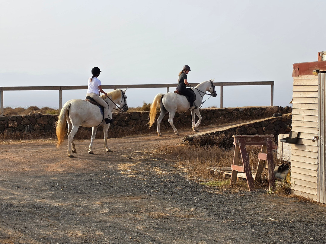 Horses Lanzarote-Teseguite必去景点