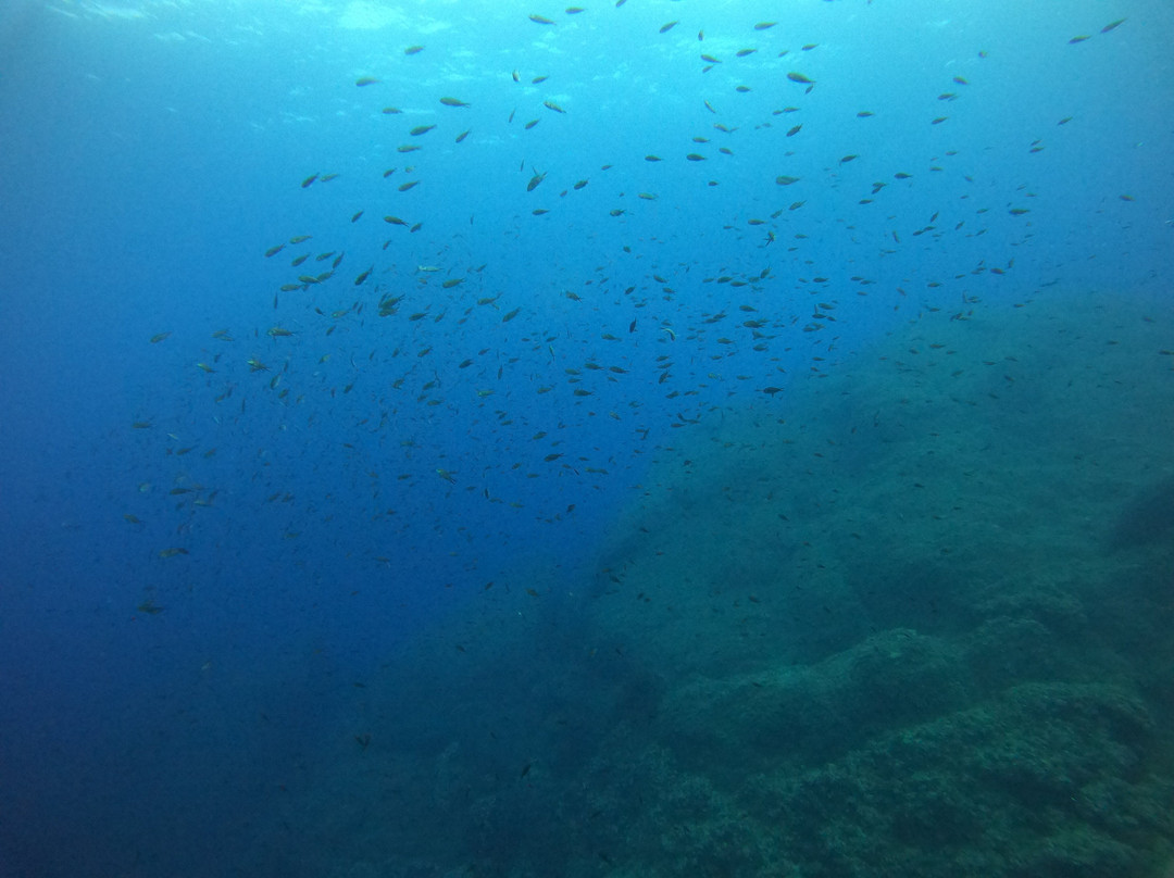 Elba Diving-Marciana Marina必去景点