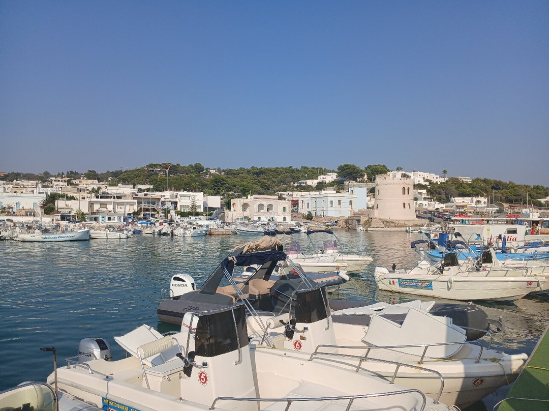 Escursioni Maretta-Torre Vado必去景点