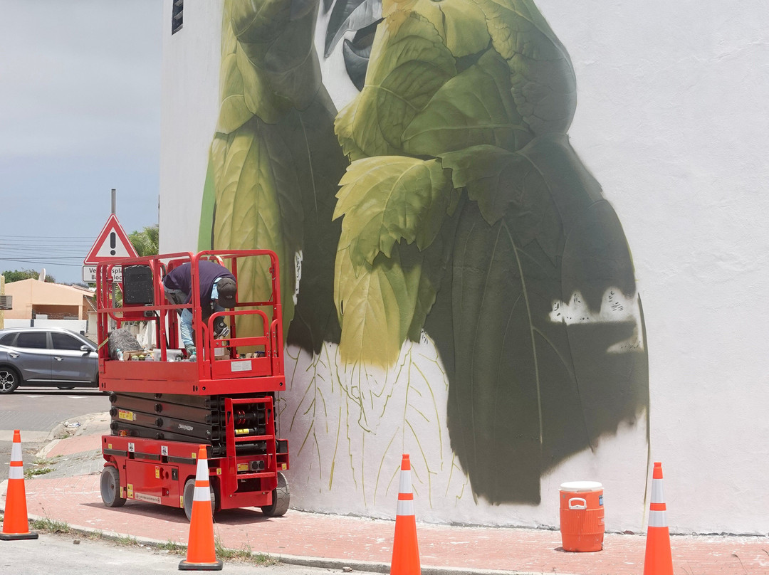 Street Murals By Aruba Art Fair-San Nicolas必去景点