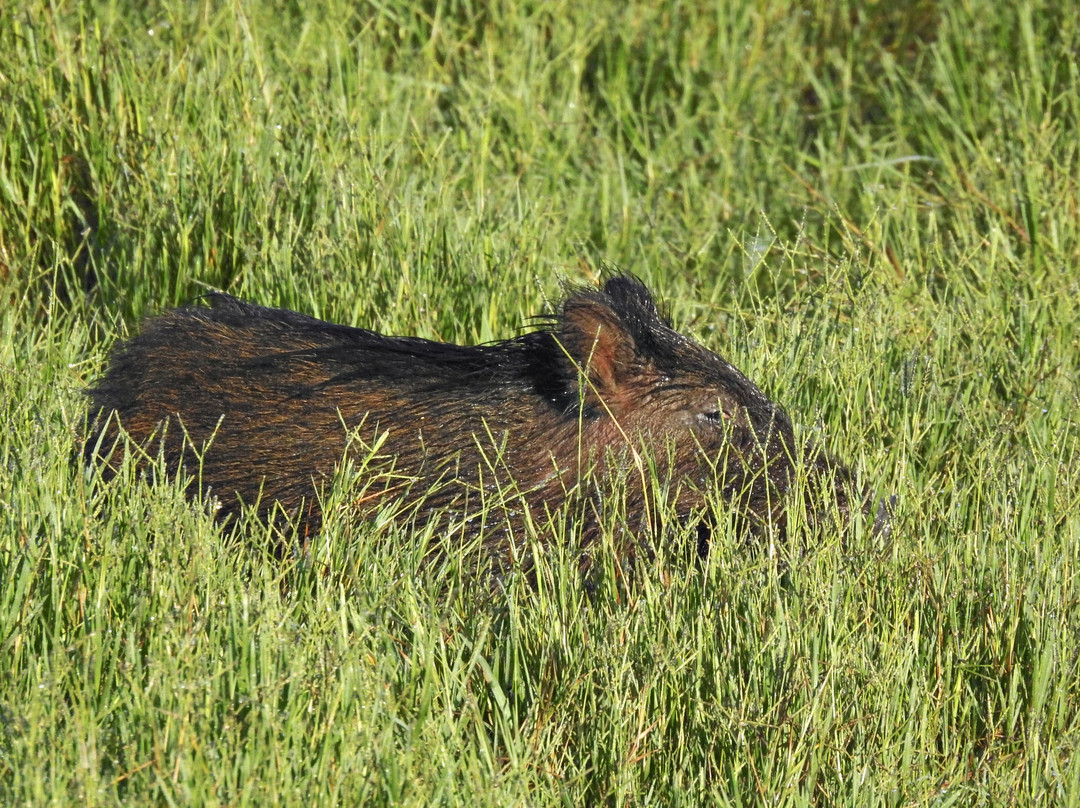 Percurso Salgueiral of Galicia Reserve-Santiago do Cacem必去景点