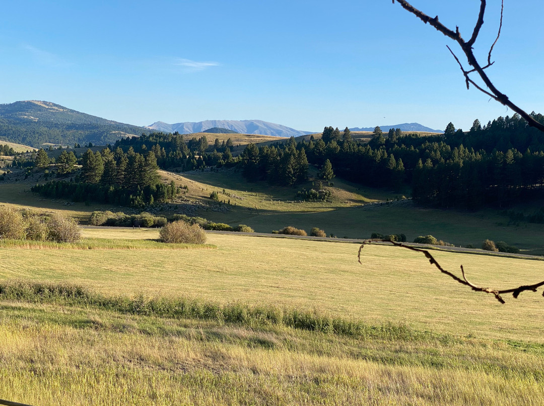 Howlers Inn Bed & Breakfast and Wolf Sanctuary主图