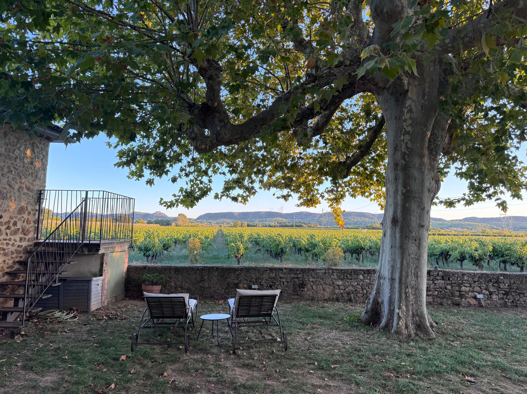Domaine de Sevanes主图