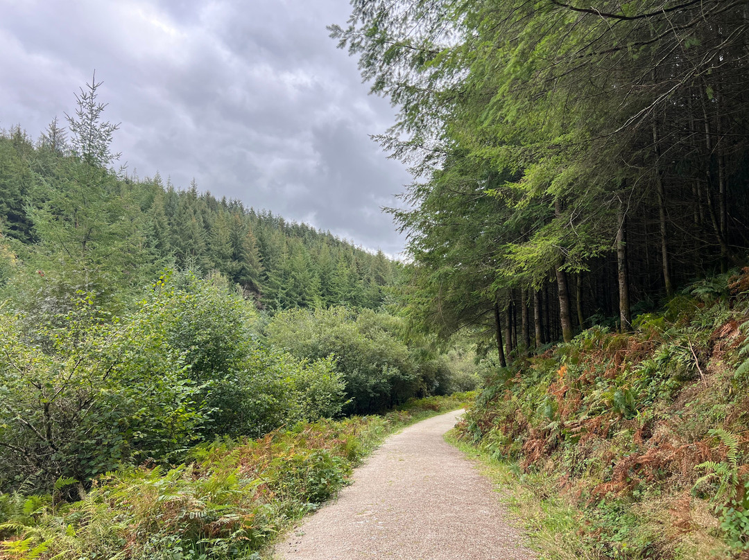 Cardinham Woods - Forestry England-博德明必去景点