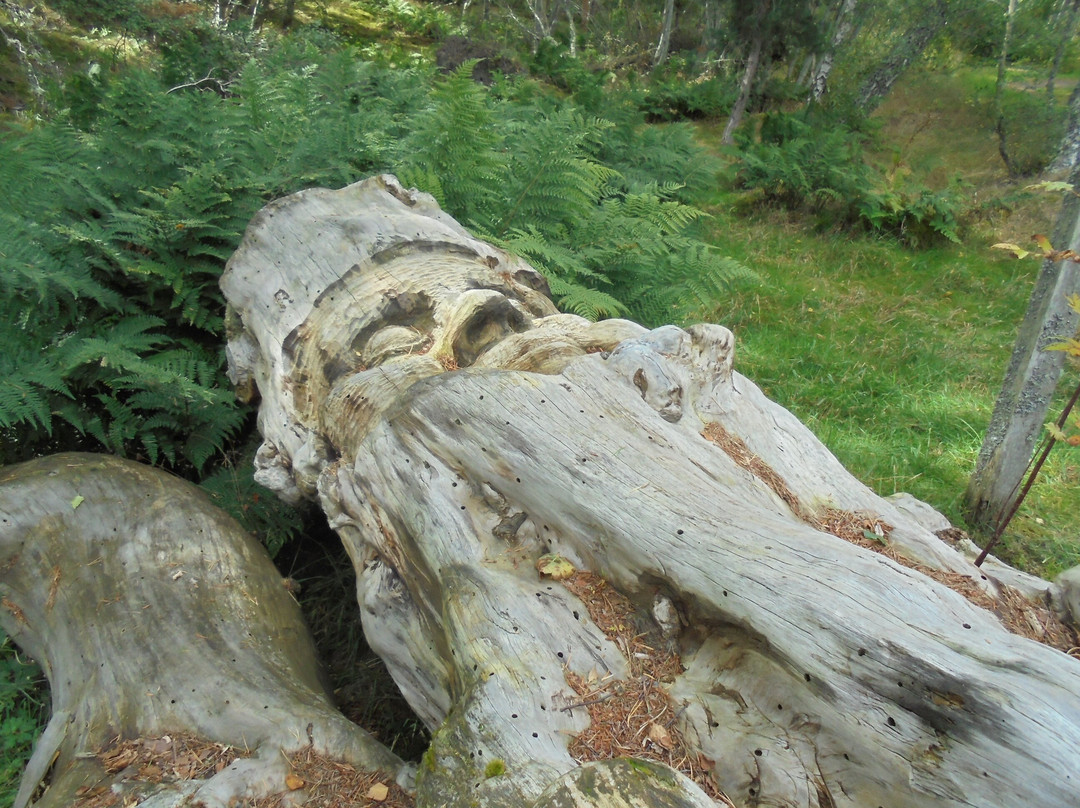 Frank Bruce Sculpture Trail