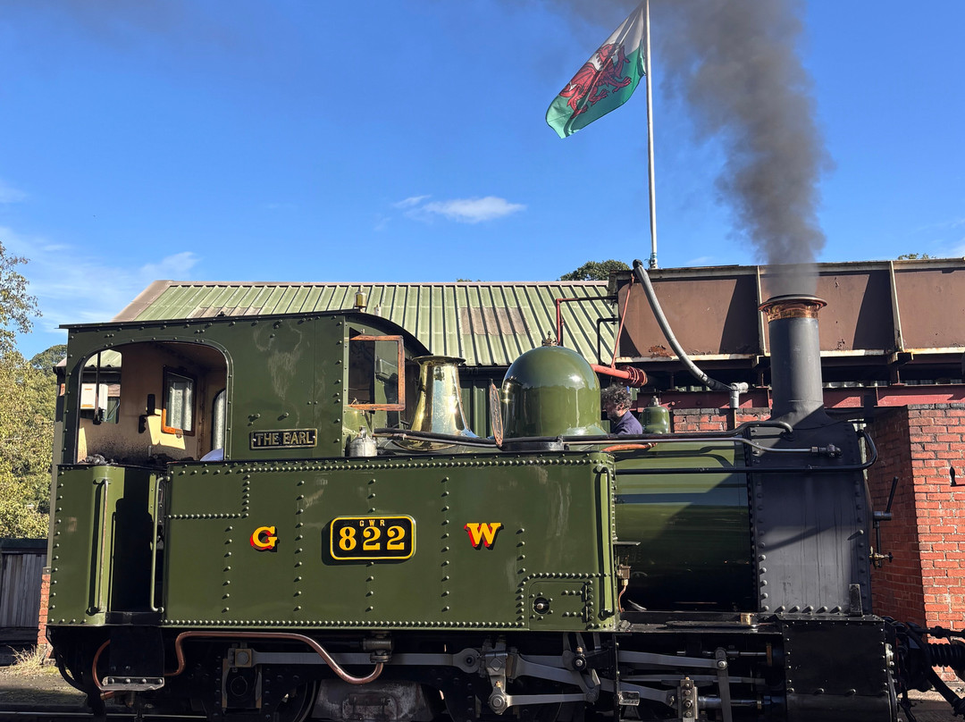 Welshpool and Llanfair Light Railway-Welshpool必去景点