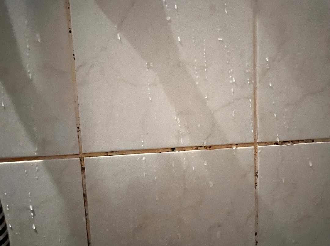 戴尔罗格酒店主图