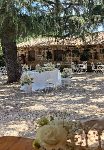 Zia Cathy's Country Guest House & Location-旅行者