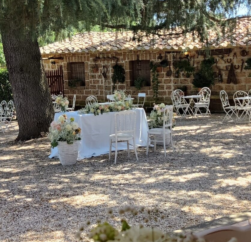 Zia Cathy's Country Guest House & Location主图
