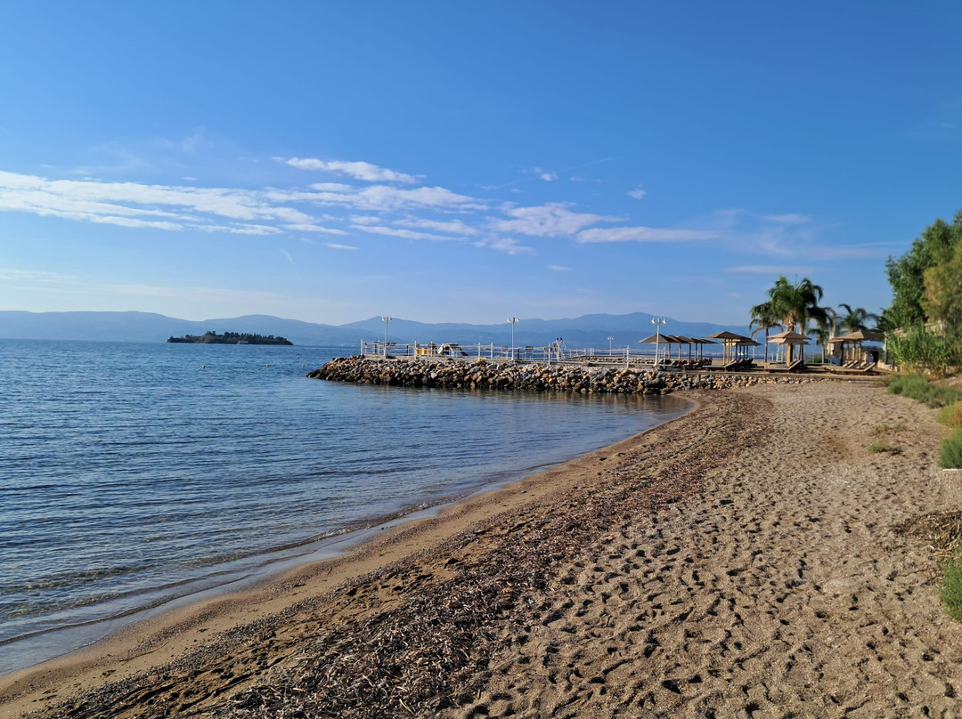 Brown Beach 埃维亚岛, Brown Hotels 成员主图