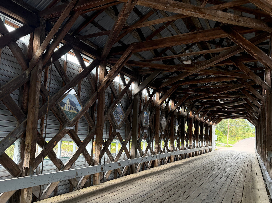 Pont du Faubourg-L'Anse-Saint-Jean必去景点