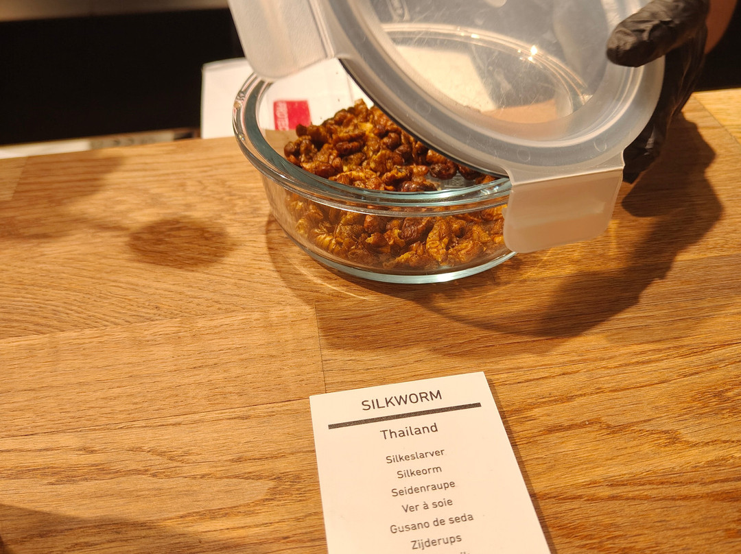Disgusting Food Museum-马尔默必去景点