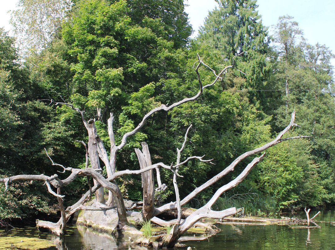 Perkun Krutynia - Traditional Boat Tours-Krutyn必去景点