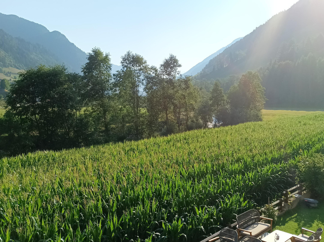 Alpine Life Hotel Anabel主图