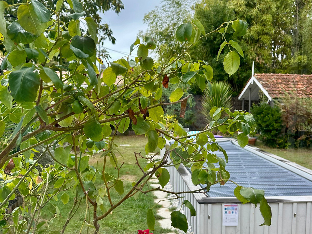 格伦塔拉别墅酒店主图