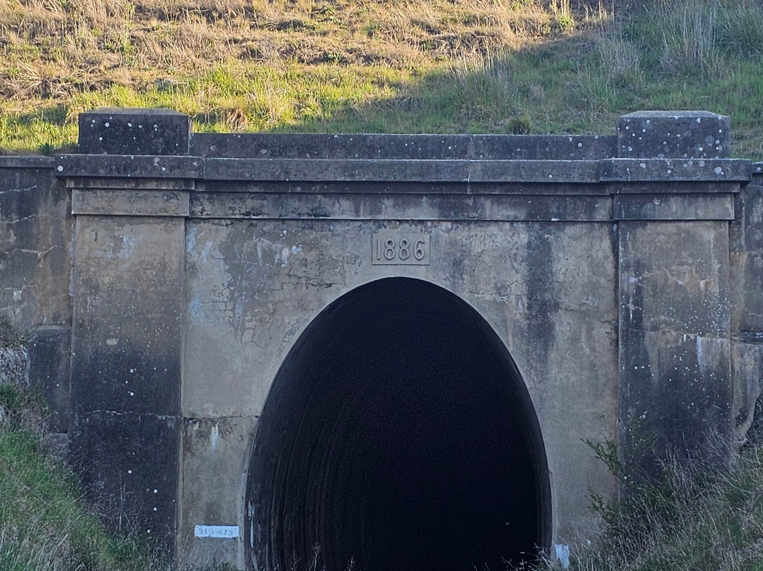 Carcoar Railway Tunnel-Carcoar必去景点