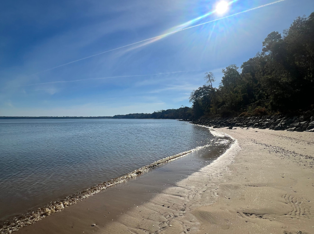 Chippokes State Park-Surry必去景点