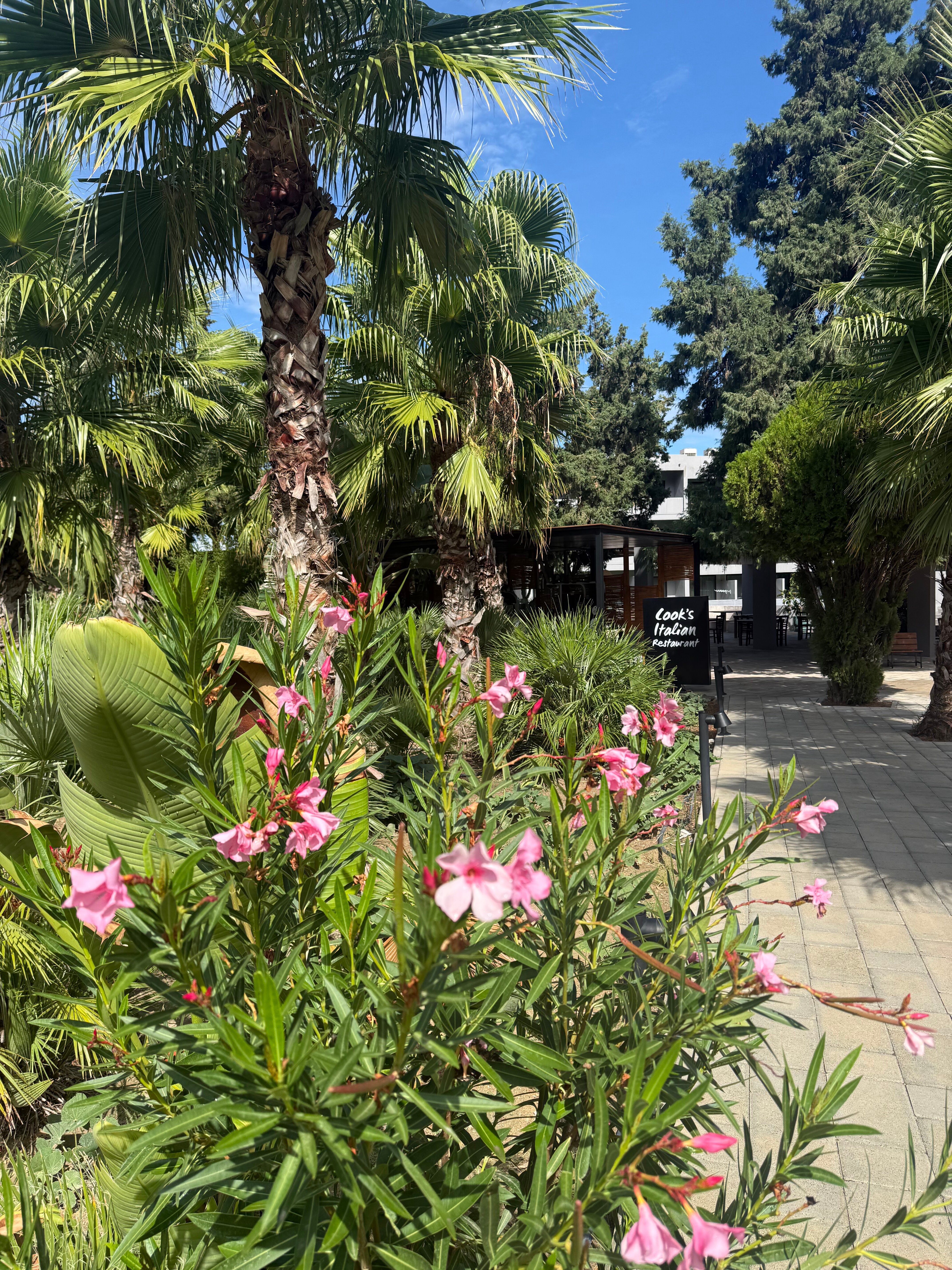 Cook's Club Kolymbia - 限成人-泳池