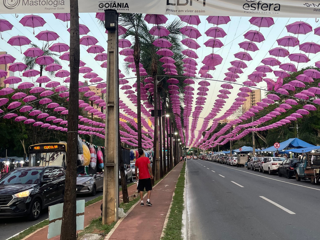 Feira da Lua-戈亚尼亚必去景点
