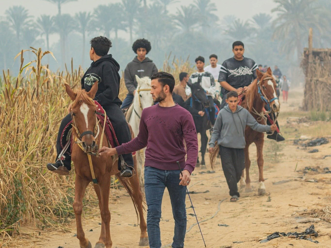 Dahshur Day Use Farm