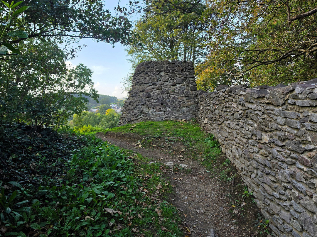 Totnes Castle-托特尼斯必去景点