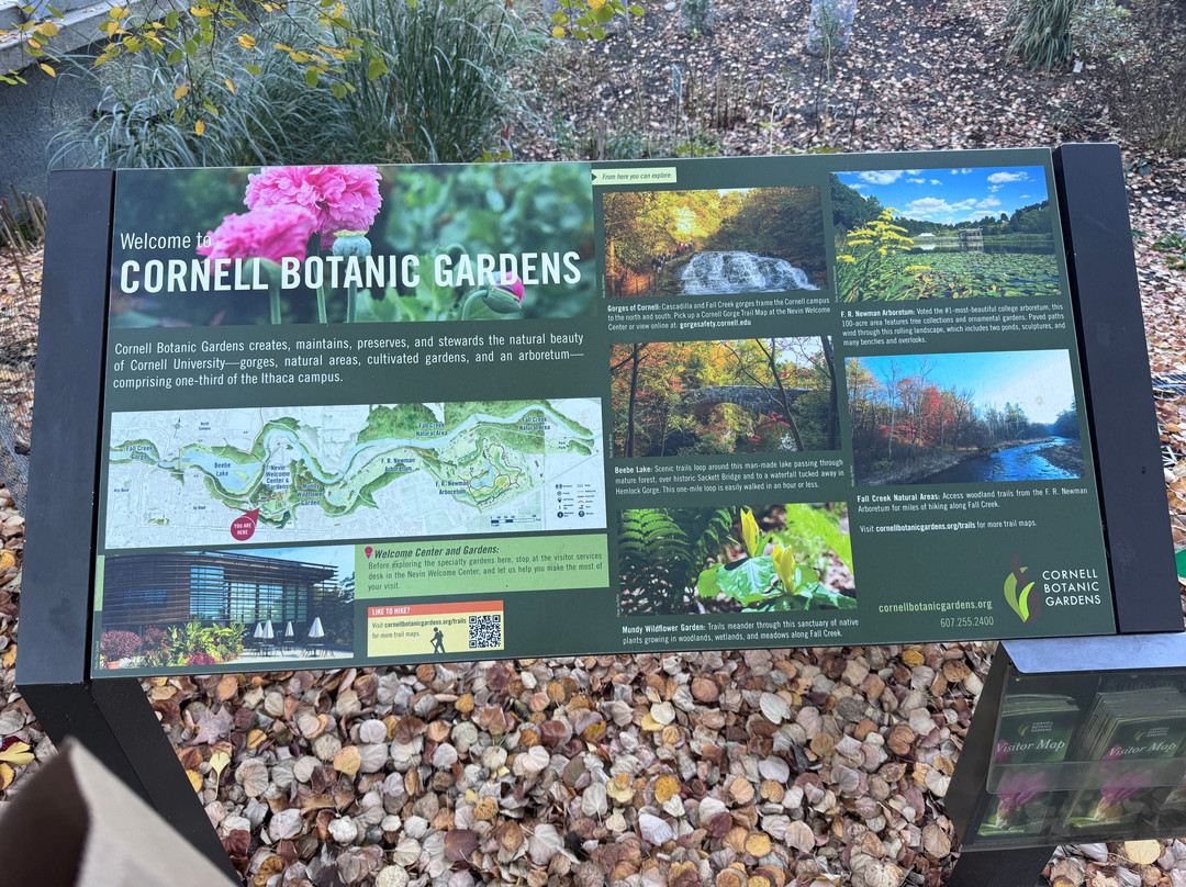 Cornell Botanic Gardens-伊萨卡必去景点