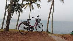 Kerala Dayz景点图片