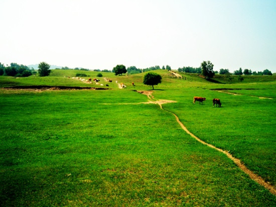木兰围场-围场县必去景点