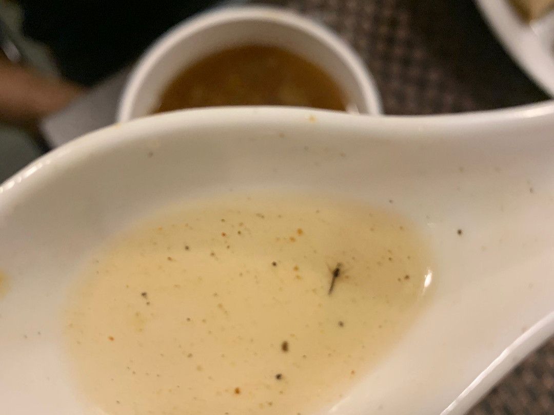 Moharli旅游攻略图片