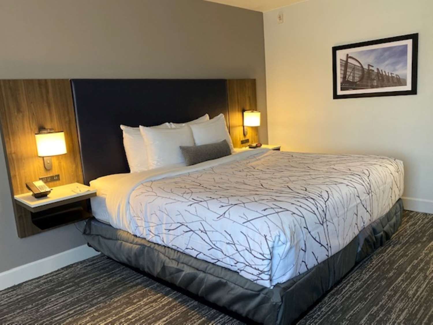 Best Western Premier Denver East-官方