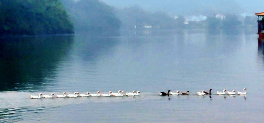 云和湖-云和县必去景点