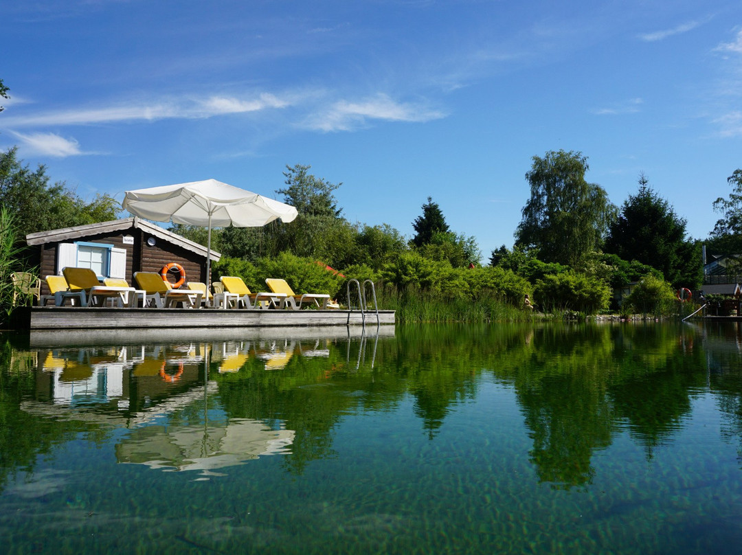 Haltern am See旅游攻略图片