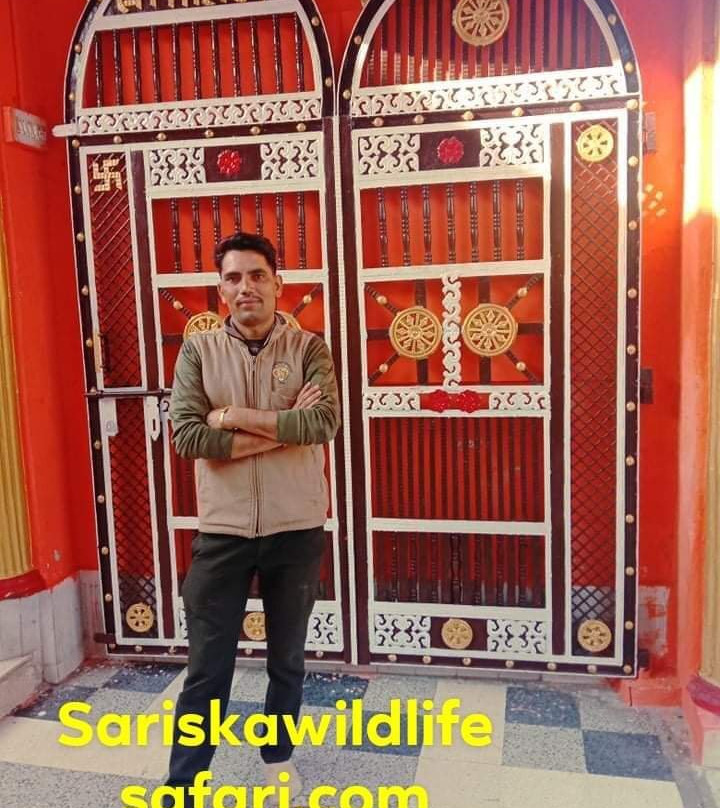 Sariska Wild Life Safari景点图片
