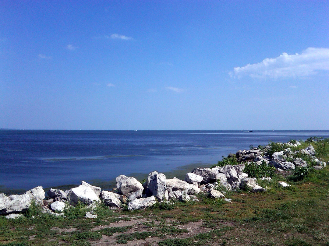 Lake Erie Metropark景点图片