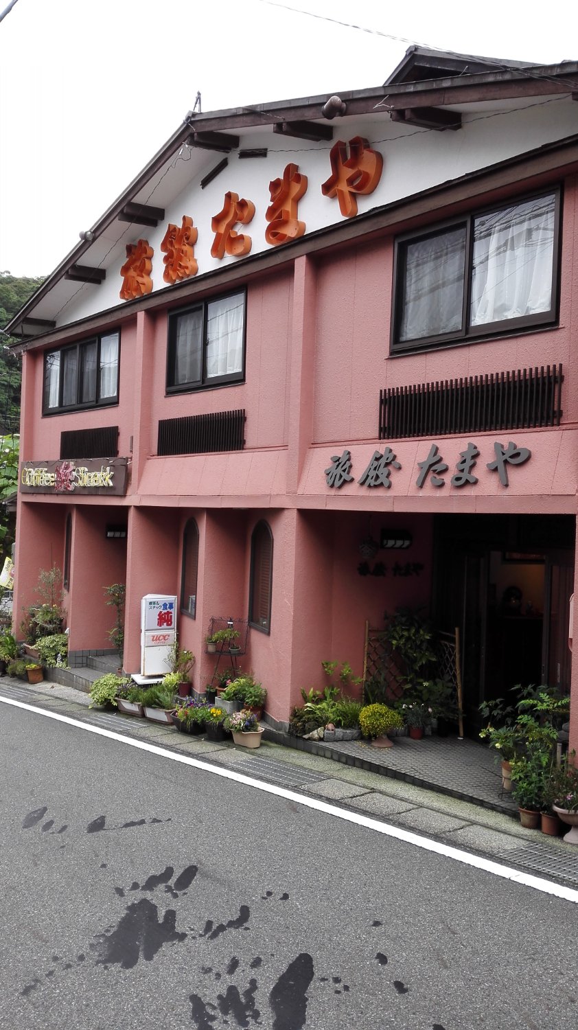 Tamaya Ryokan-浴室