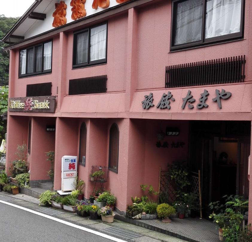 长门市酒店住宿-Tamaya Ryokan