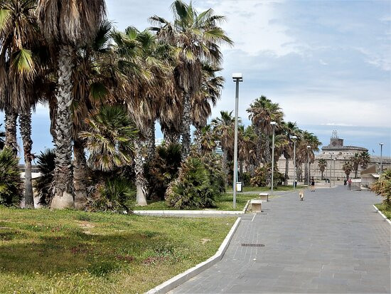 Lungomare a Civitavecchia-奇维塔韦基亚必去景点