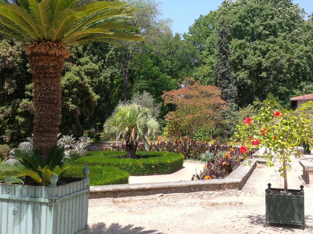 Jardin des Plantes景点图片