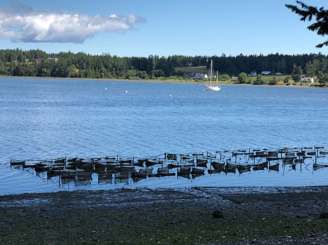 Westcott Bay Shellfish Co.景点图片