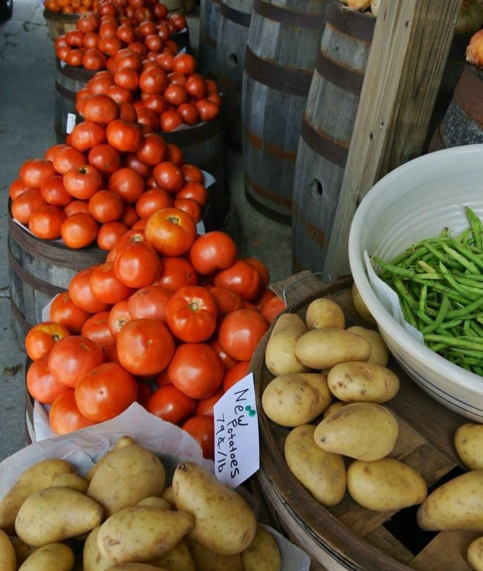 Poor Farmer's Market Country Store景点图片