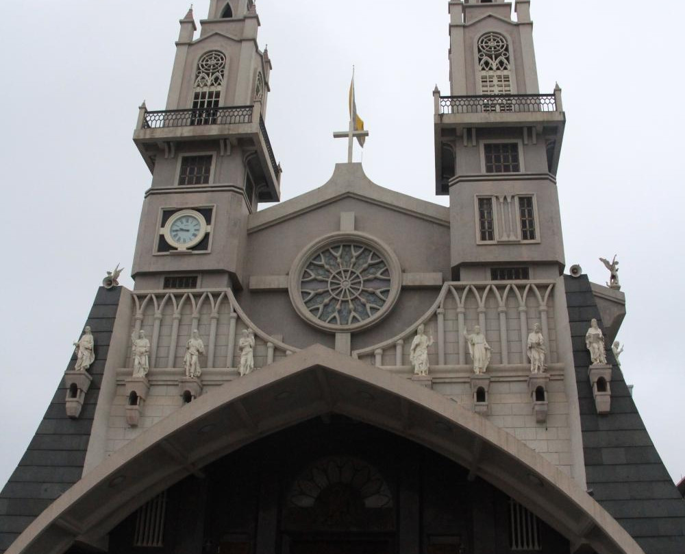 Sacred Heart of Jesus Cathedral景点图片