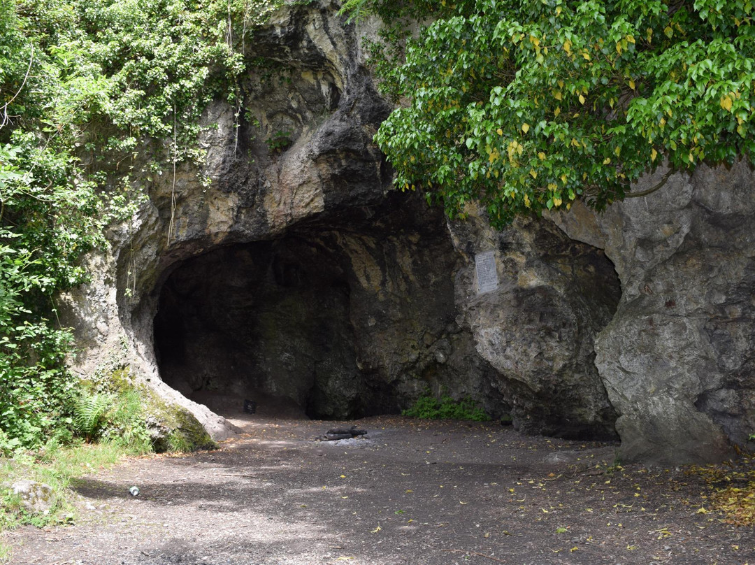 Grotte de Spy景点图片