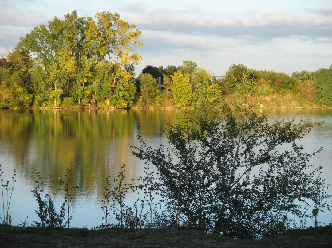 Fidler Pond Park景点图片