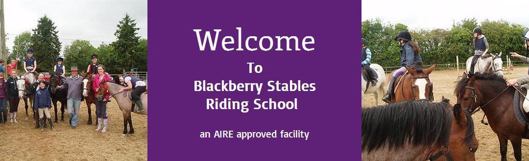 Blackberry Stables-梅努斯必去景点