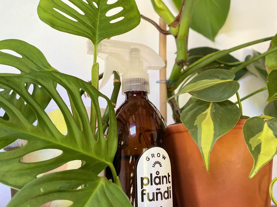 Plant Fundi-海纳茨堡必去景点