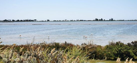 Easycletta - Electric bike Rental & Tours-卡利亚里省必去景点